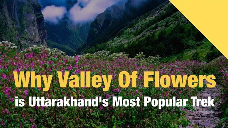 Valley Of Flowers In Uttarakhand | holiday places, travel tips