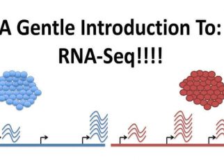 RNA Sequencing – Principle, Methods And Applications On How This Medical Introduction Is Saving Lives