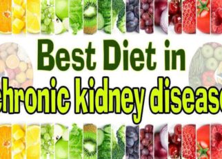 Best Diet for Kidney Patients