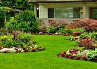 How to turn your dream into a reality: landscape design and gardening