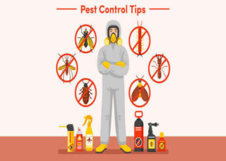 Pest Control tips, Pest Control companies
