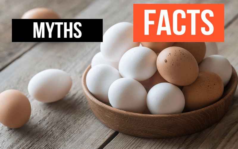 Egg Yolks FACTS | Eggs-Myths-Facts