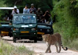 Jhalana Leopard Safari, travel bloggers, holidays
