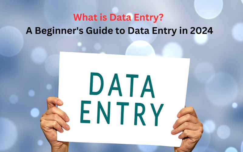 Beginner's Guide to Data Entry